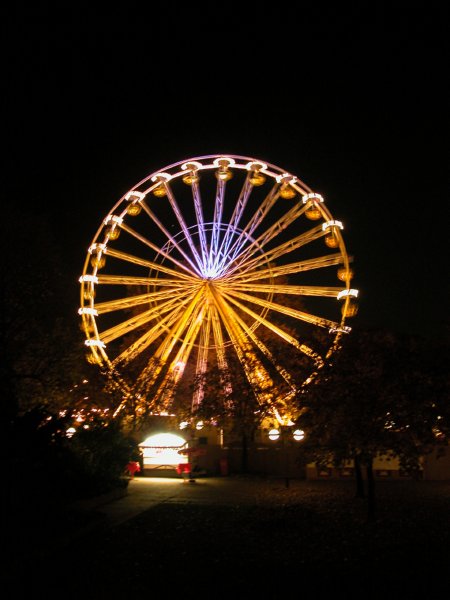 Clueso_Dresden05 - 61